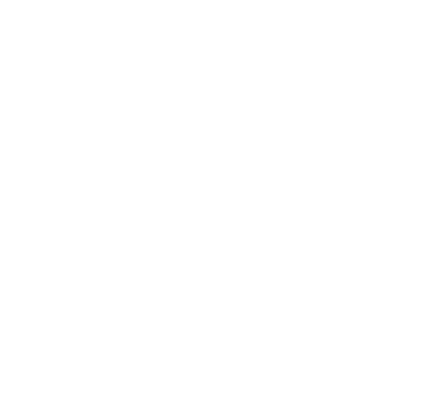 Cape Valve Logo